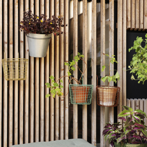 Hanging iron planter