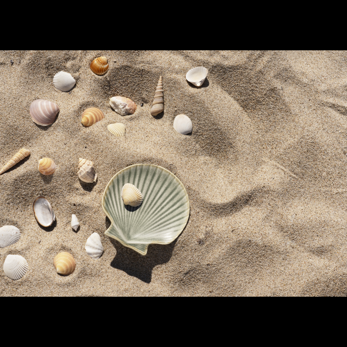 Stoneware sea shell tray