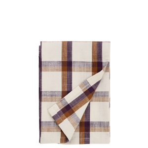 Checked kitchen towel