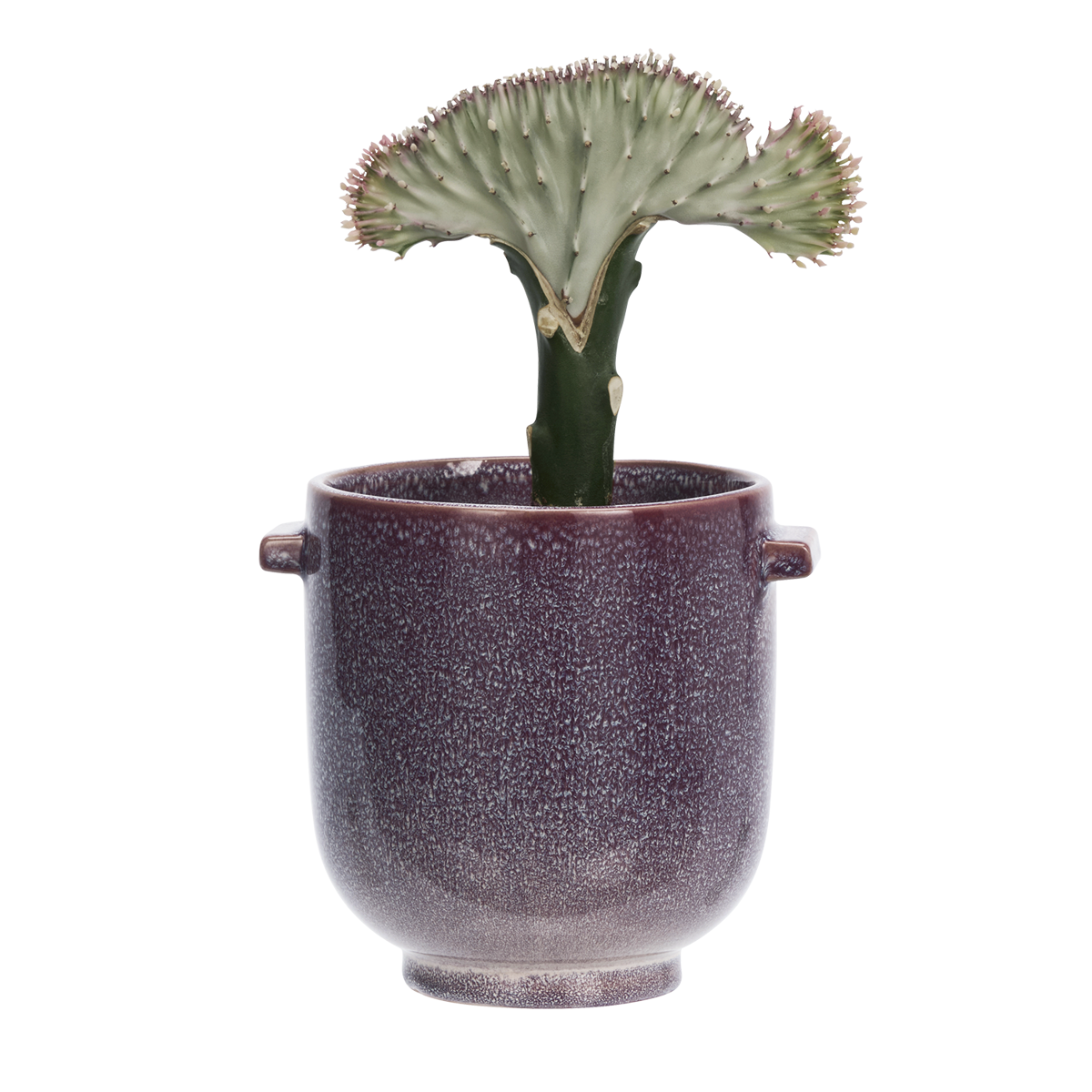Stoneware flower pot