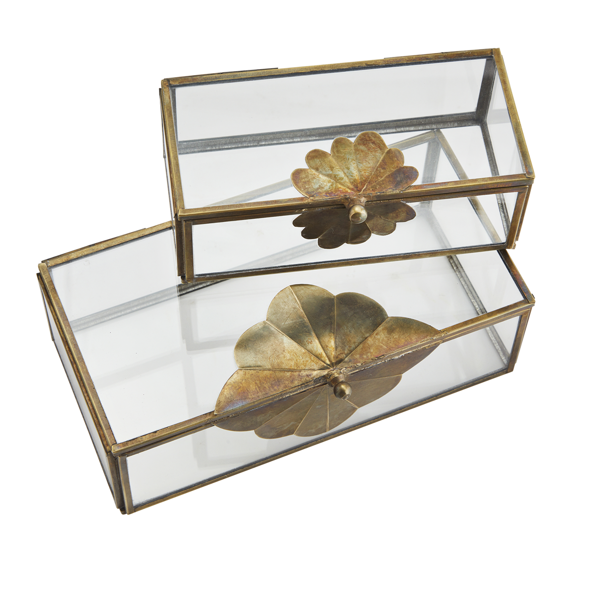 Glass boxes w/ brass leaf