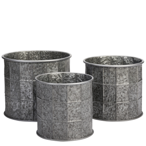 Galvanised iron planters