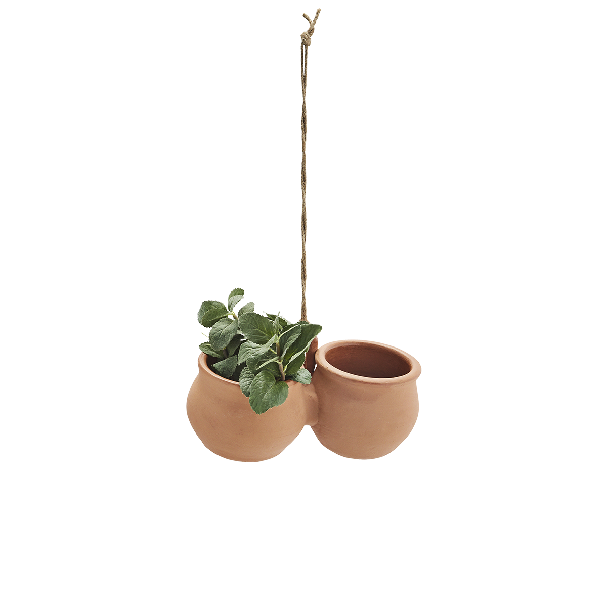 Hanging terracotta flower pots