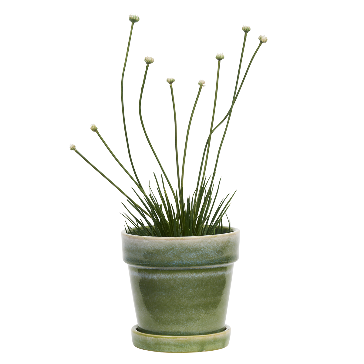 Flowerpot w/ saucer