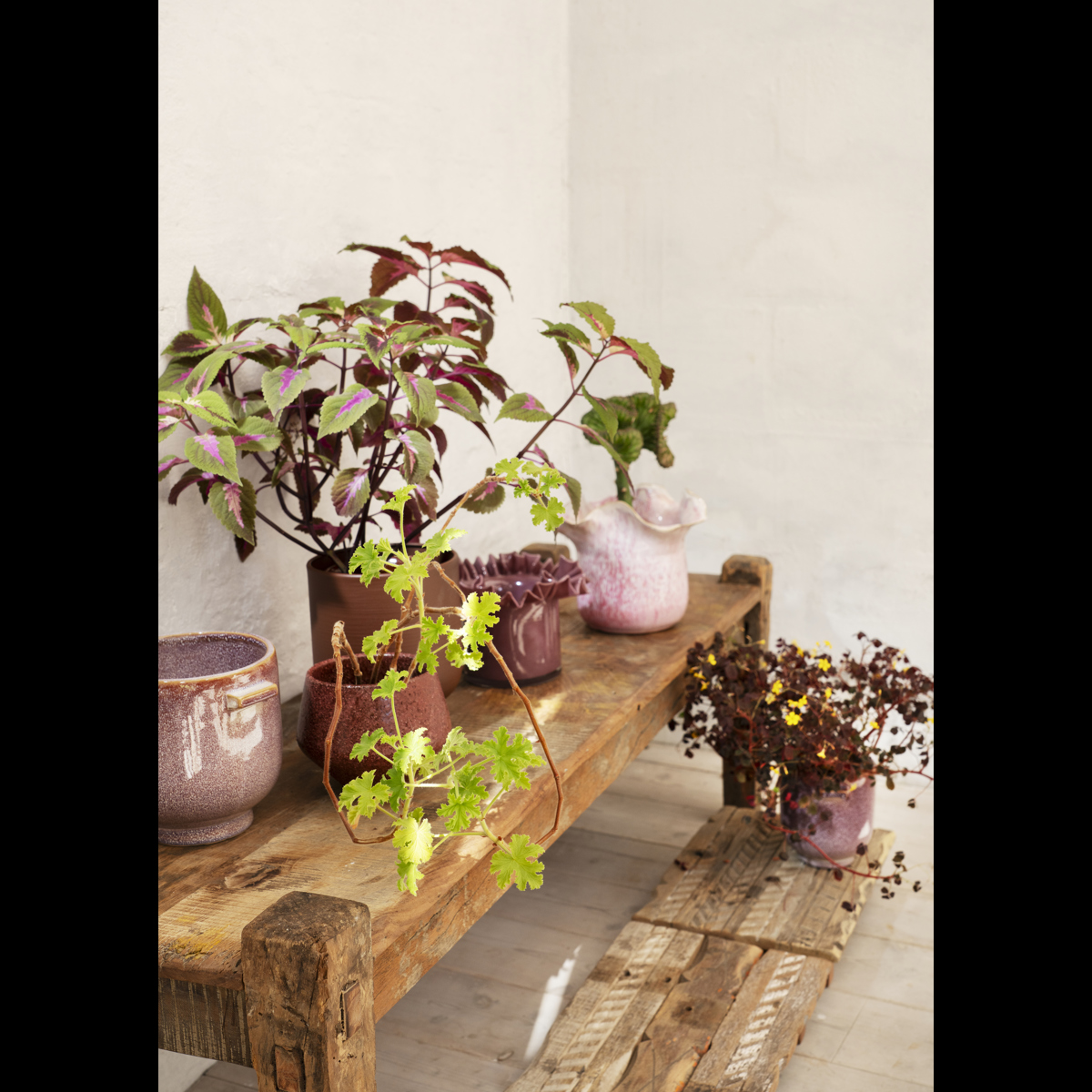 Recycled wooden bench