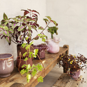 Recycled wooden pedestal tray