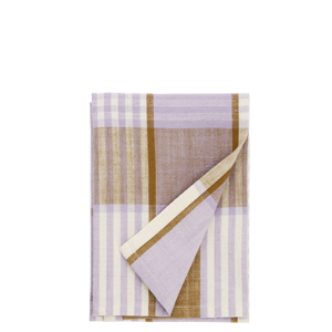 Checked kitchen towel
