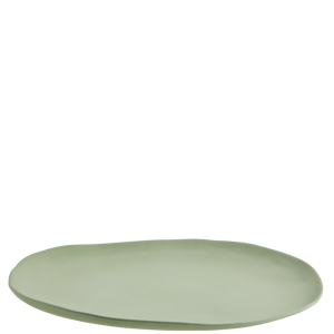 Eco sustainable melamine dinner plate