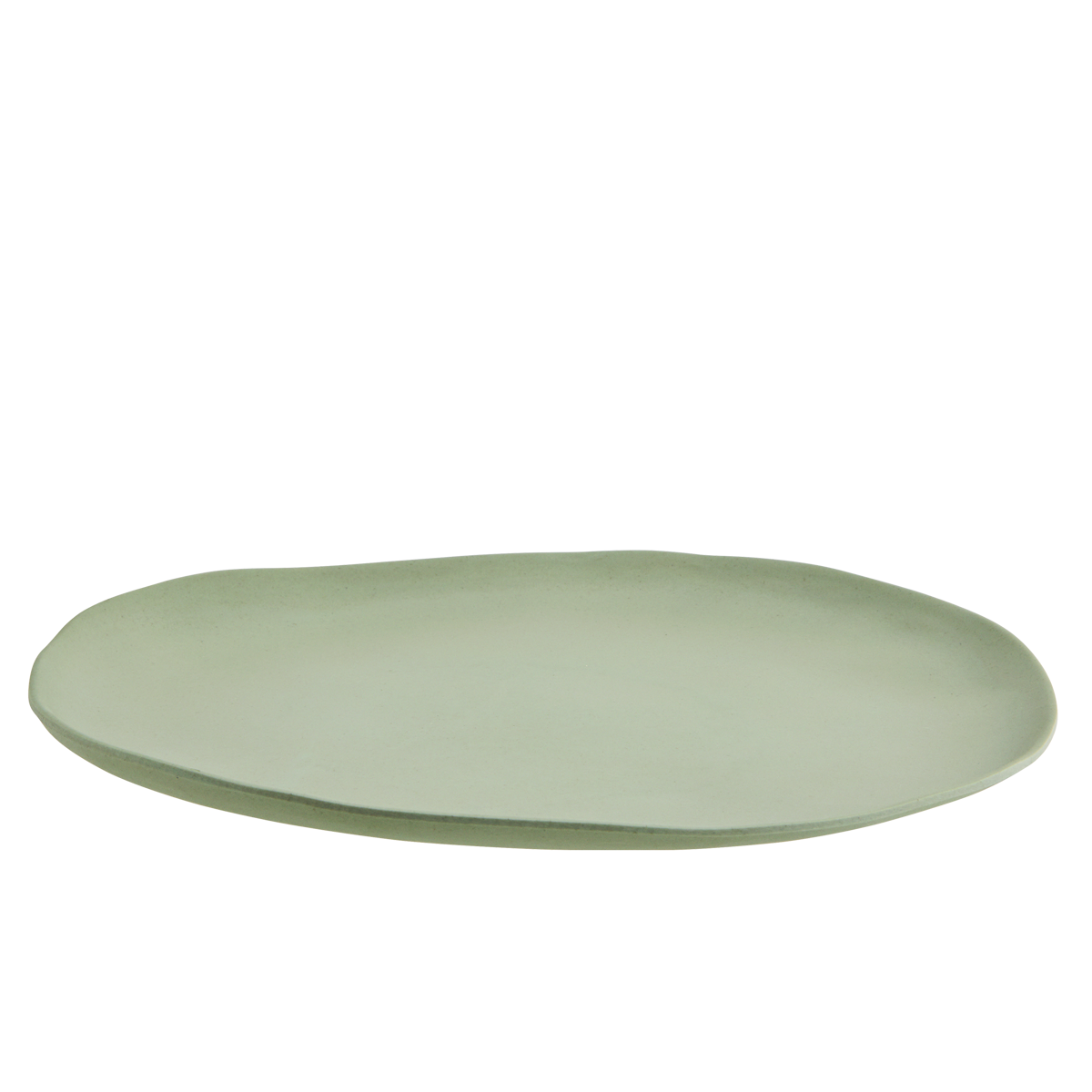 Eco sustainable melamine dinner plate