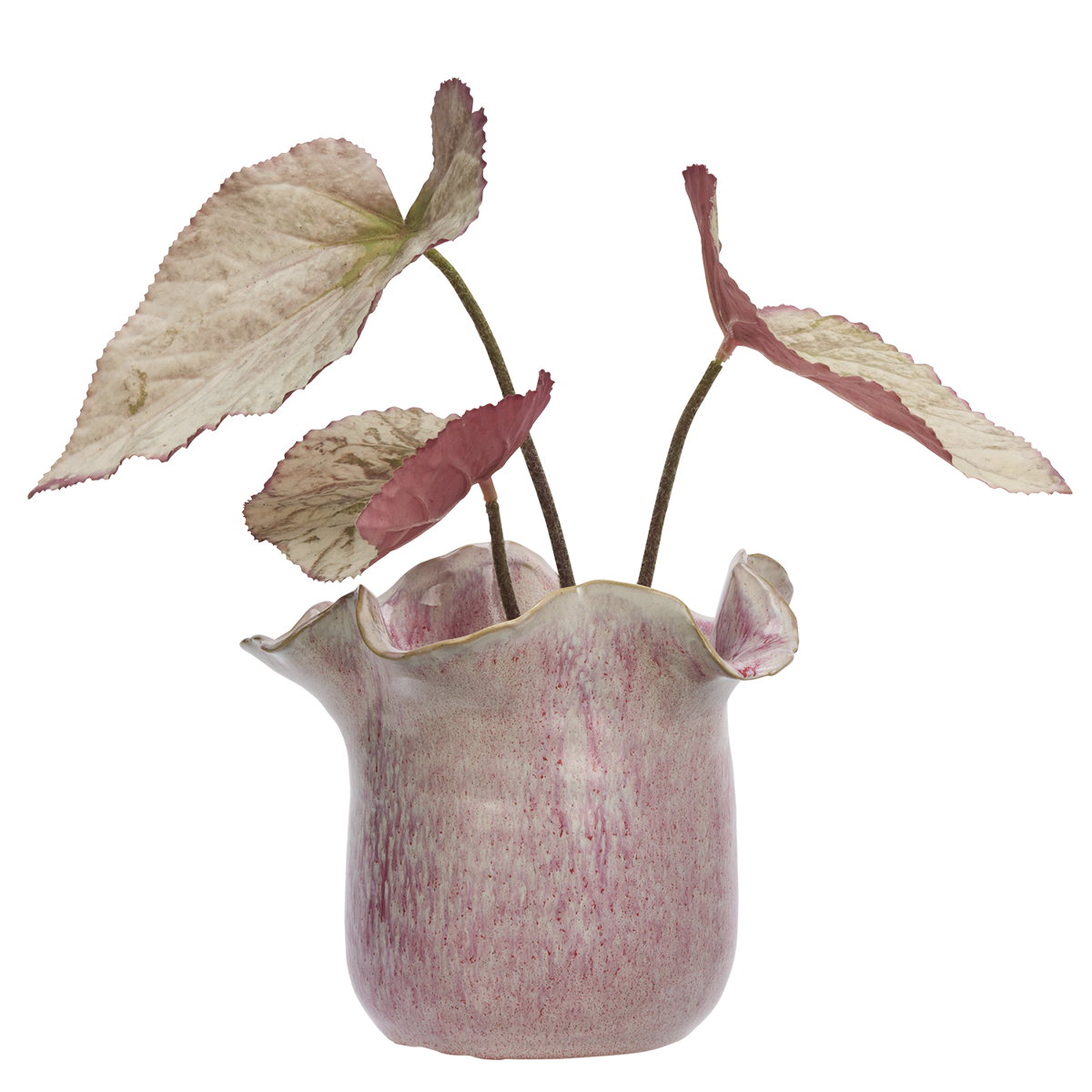 Stoneware flower pot