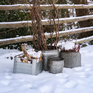 Round galvanised iron planters