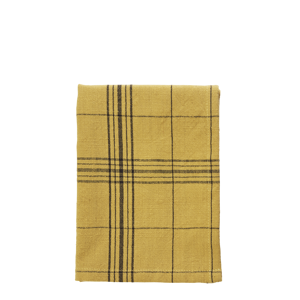 Checked kitchen towel