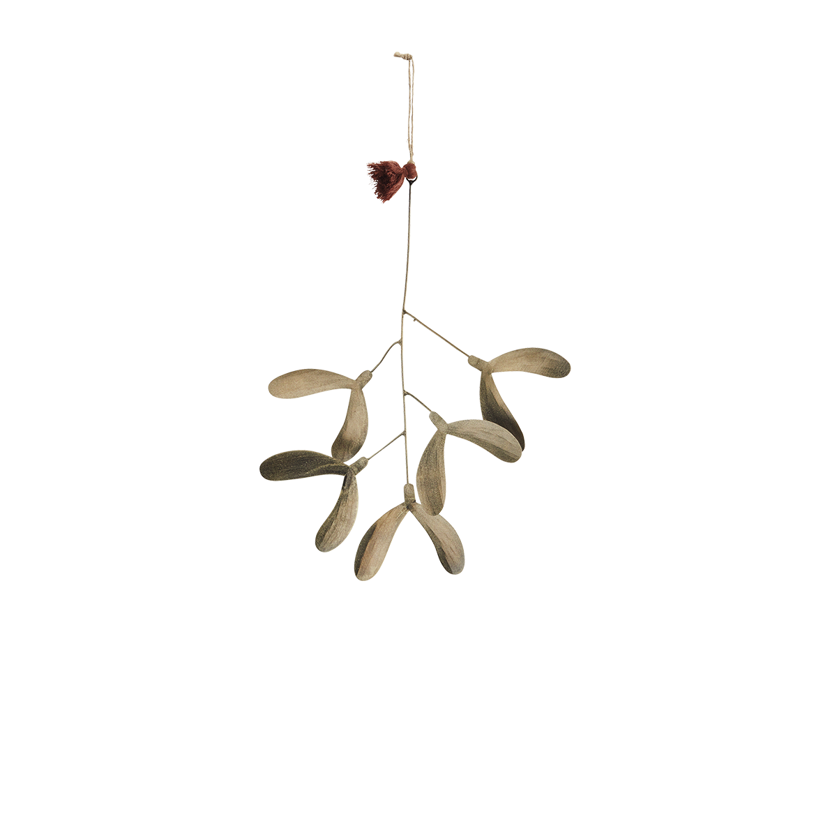 Small iron mistletoe