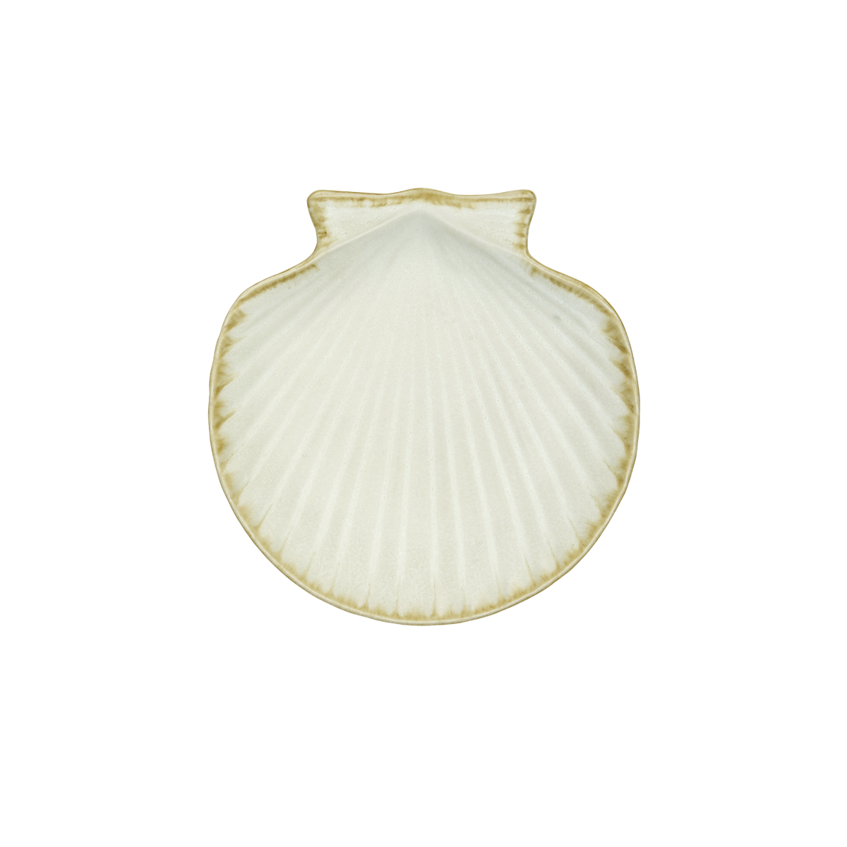 Stoneware sea shell tray