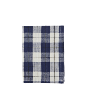 Checked kitchen towel