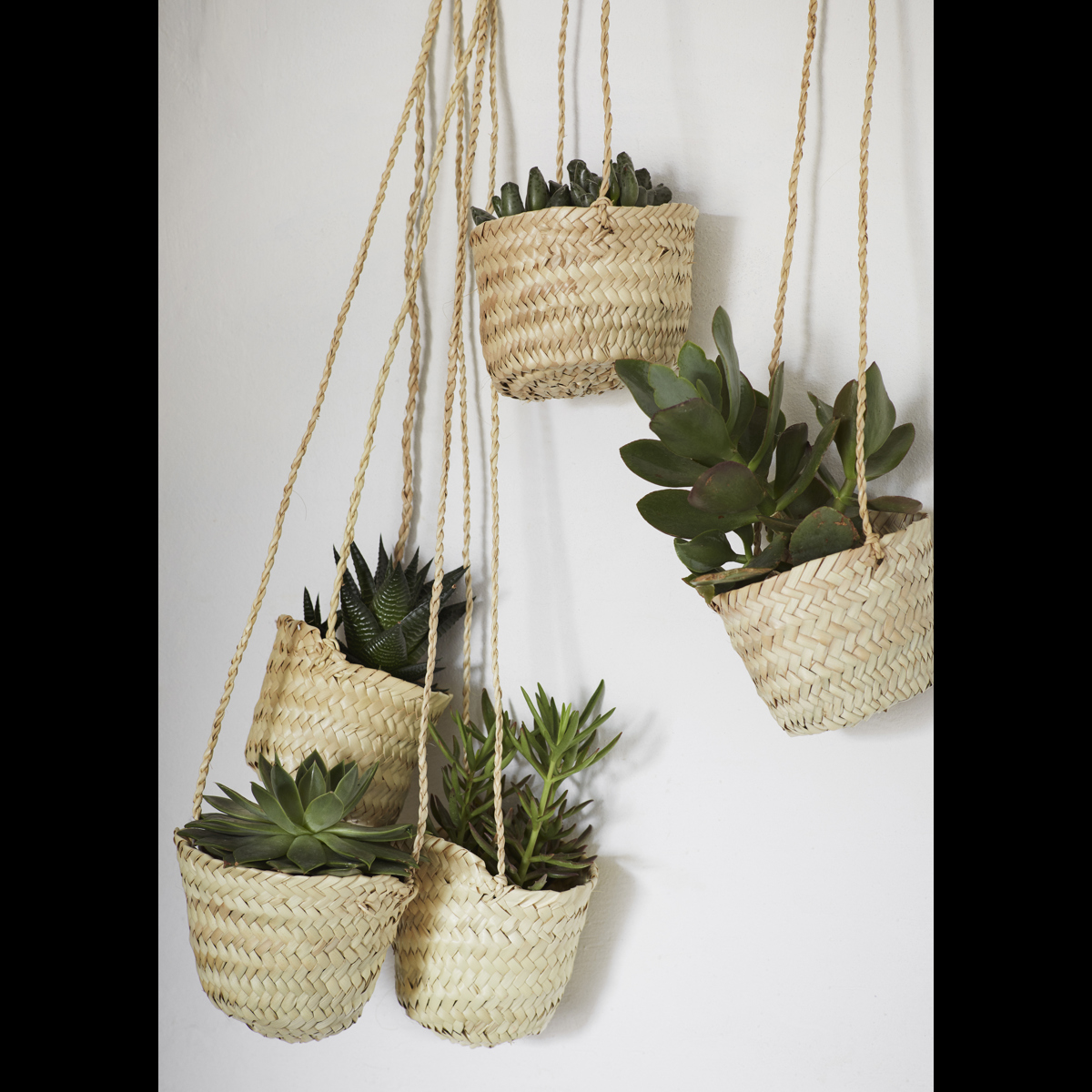 Hanging grass basket