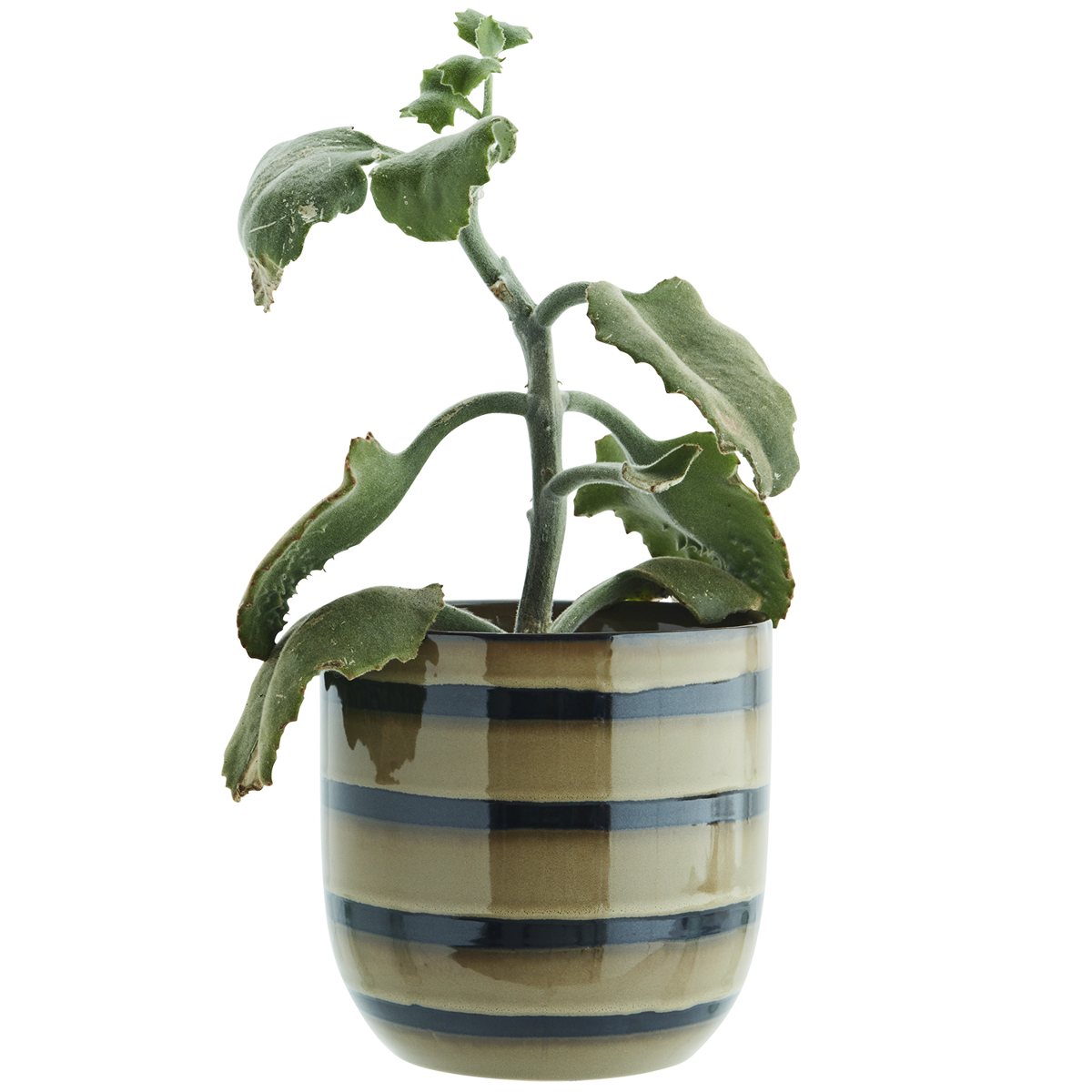 Striped stoneware flower pot