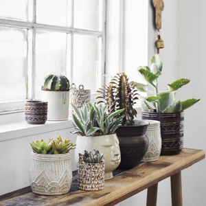 Stoneware flower pots