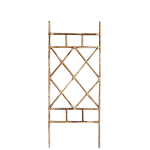 Bamboo plant trellis