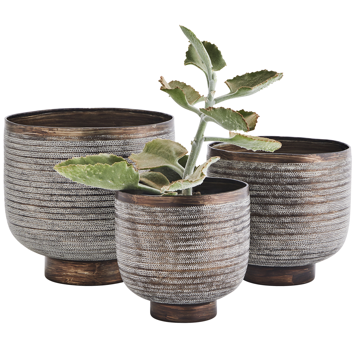 Hand hammered aluminum flower pots