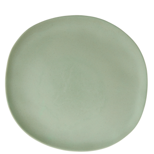 Eco sustainable melamine dinner plate