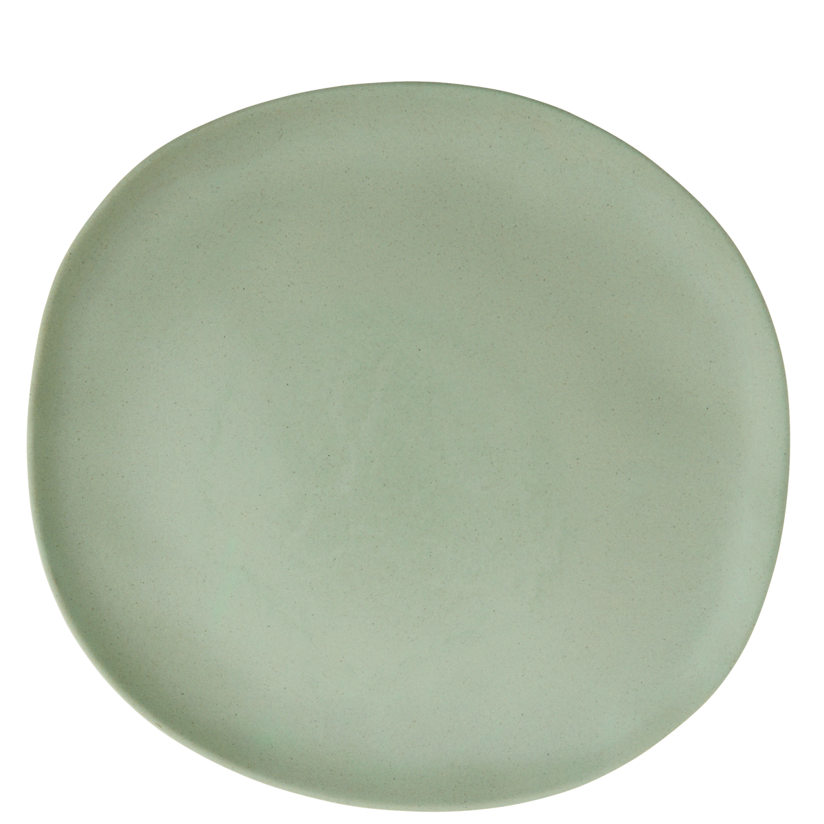 Eco sustainable melamine dinner plate