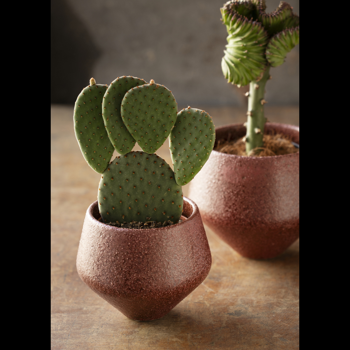 Stoneware flower pot