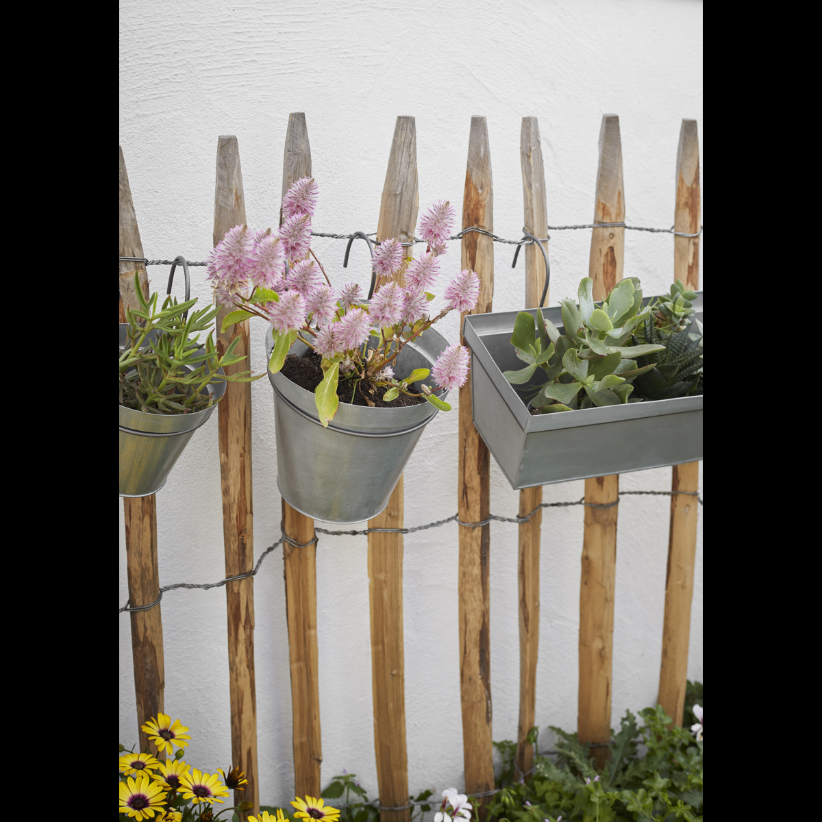 Hanging iron planter