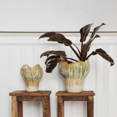 Enhance Decor with Our Distinctive Flower Pots