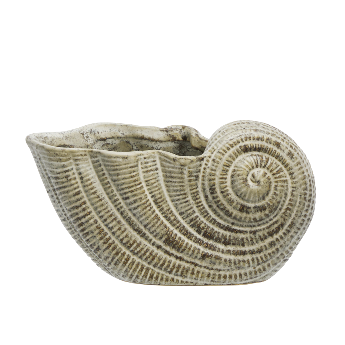 Stoneware conch
