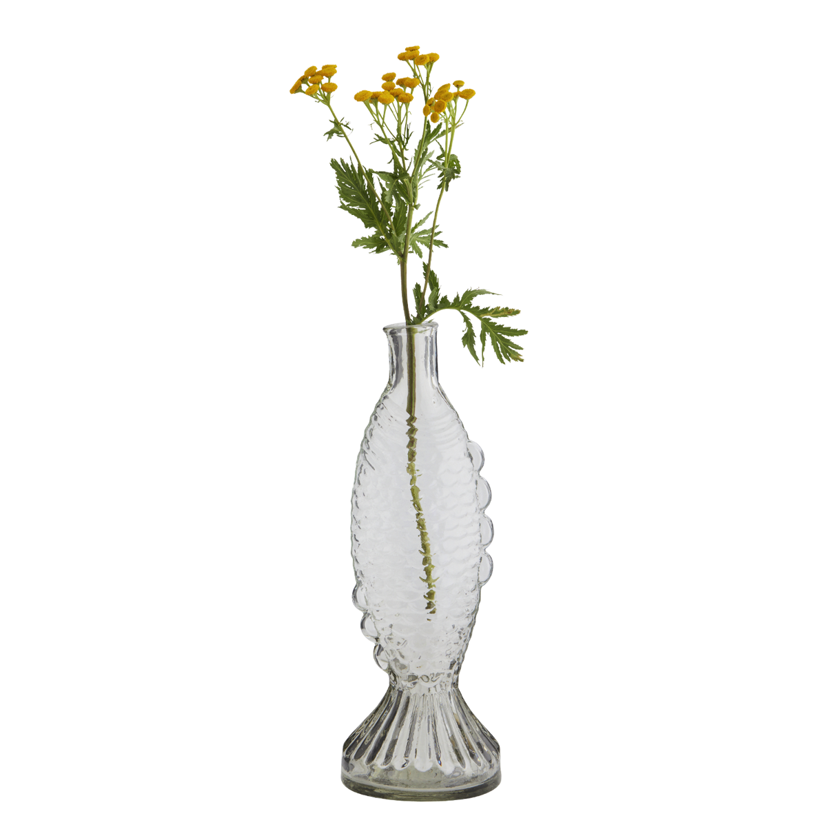 Fish glass vase