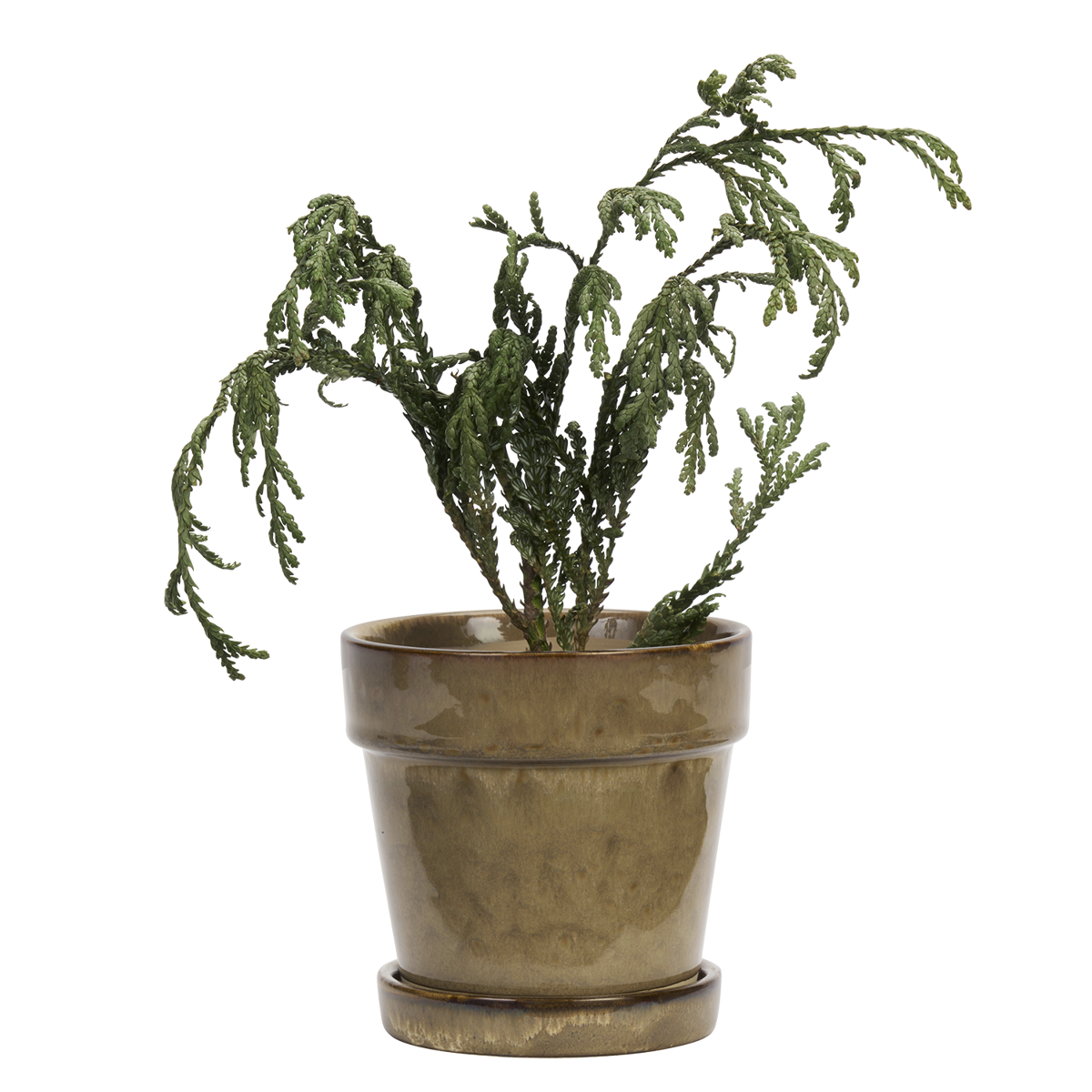 Flowerpot w/ saucer