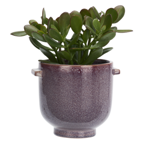 Stoneware flower pot
