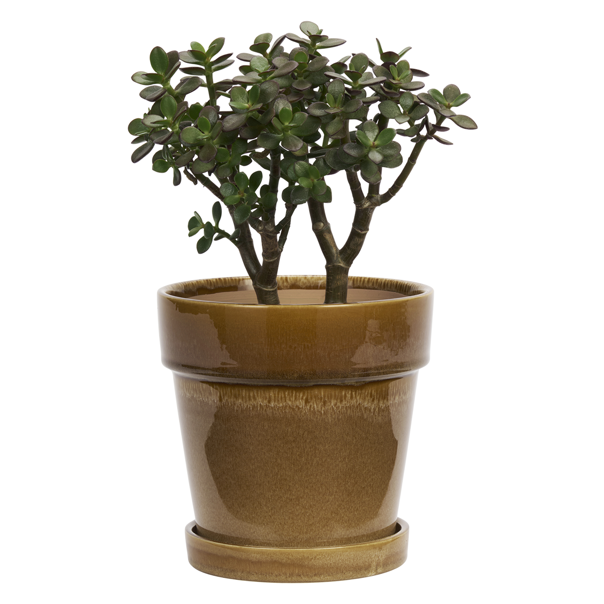 Flowerpot w/ saucer