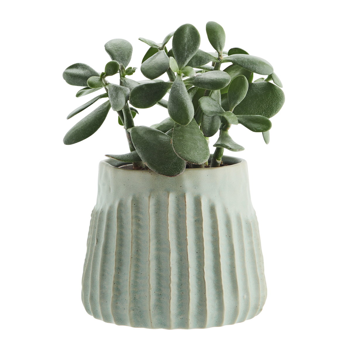 Stoneware flower pot