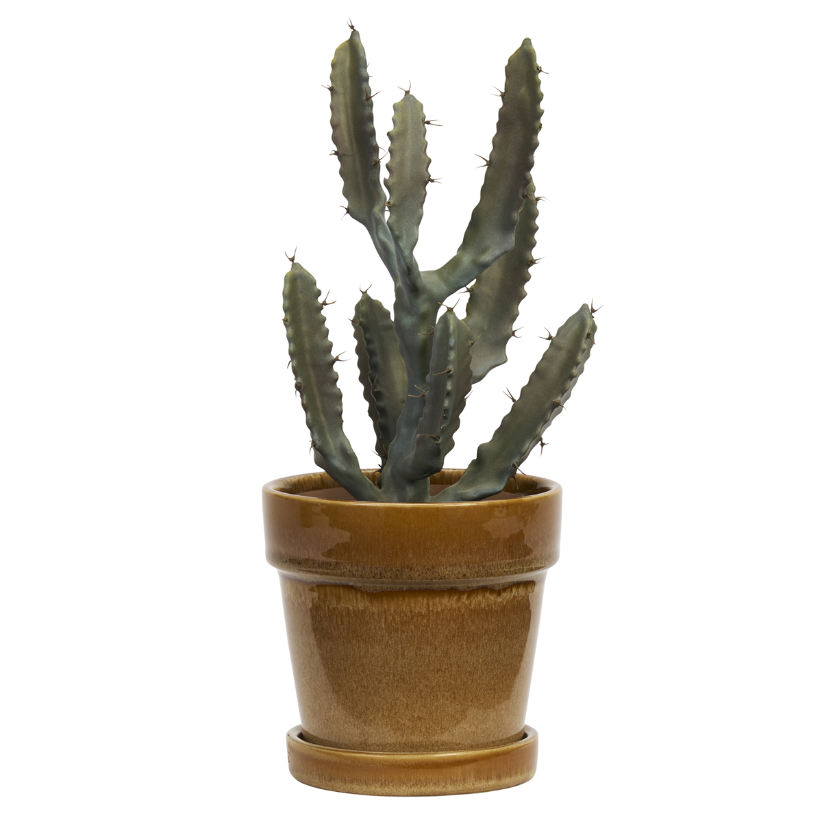 Flowerpot w/ saucer