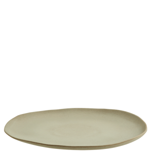 Eco sustainable melamine dinner plate