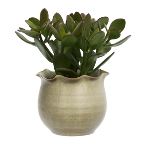Stoneware flower pot