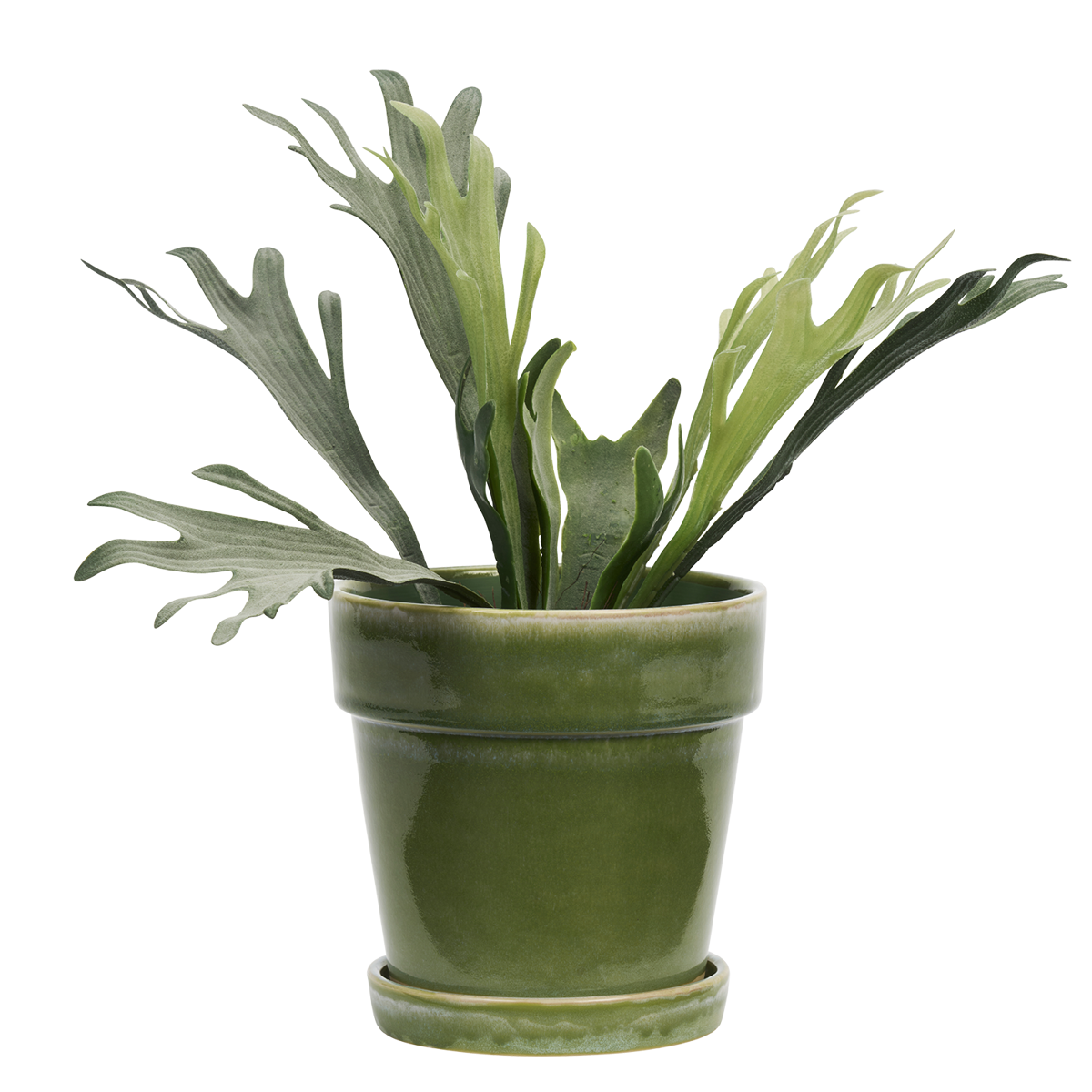 Flowerpot w/ saucer