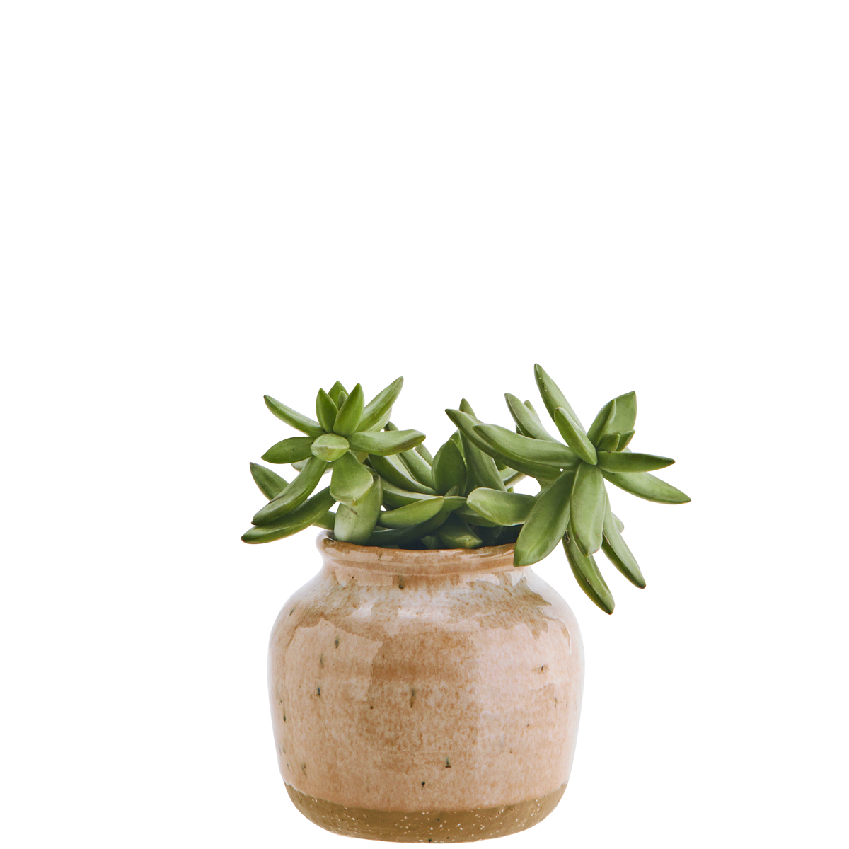 Stoneware flower pot